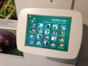 Wildlife interactive iPad