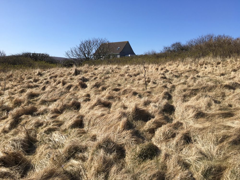 Shetland, Halligarth House