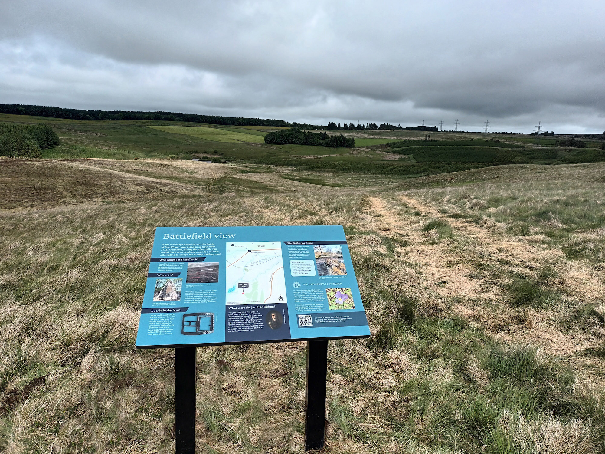 Dumyat – Peatlands restoration